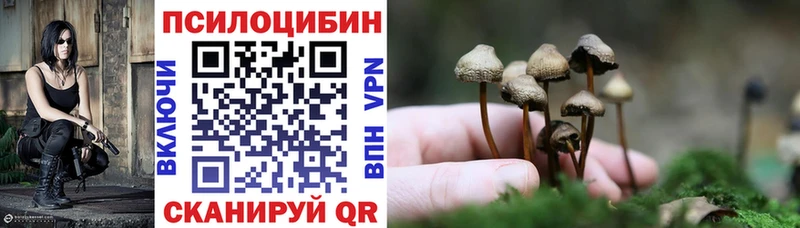 Галлюциногенные грибы GOLDEN TEACHER  Купить  Сысерть 